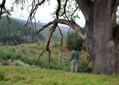 Why stay at Emily Moon for your birding adventure