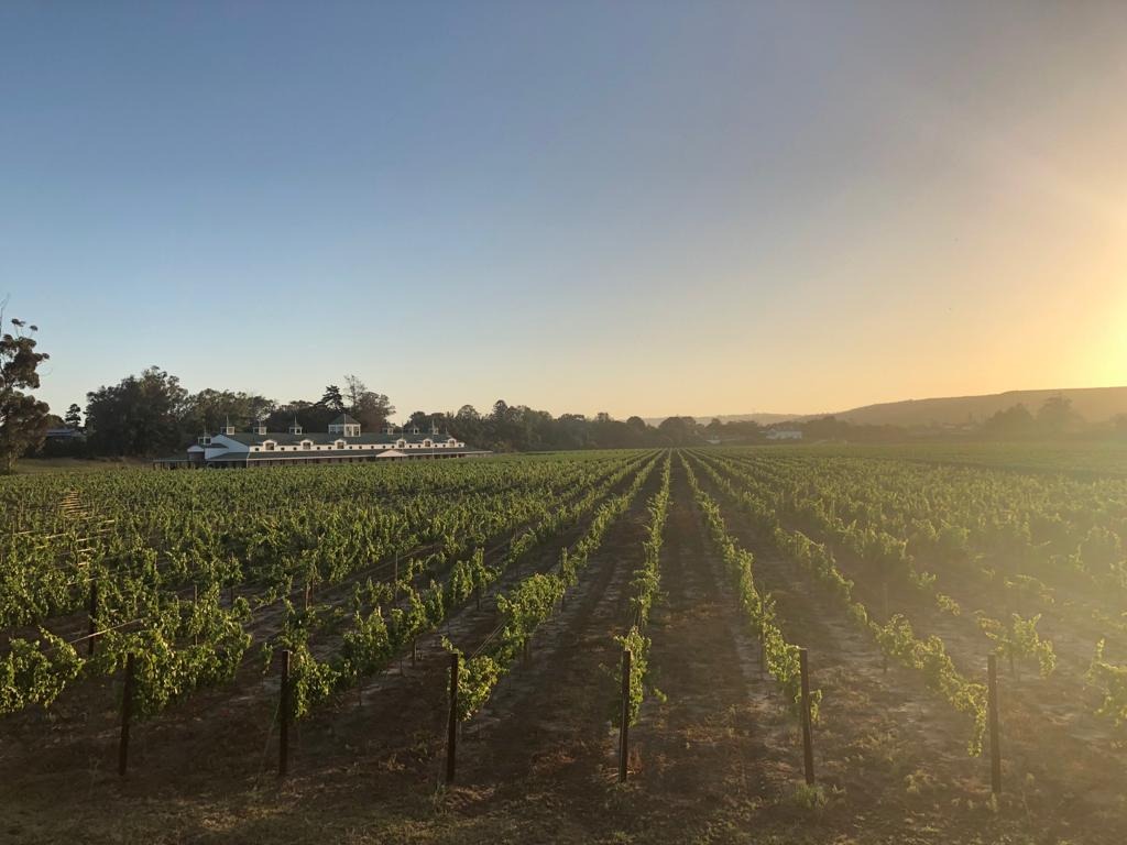 Exploring The Wine Farms in and around plettenberg bay