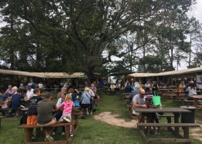 Picnicking and Relaxation