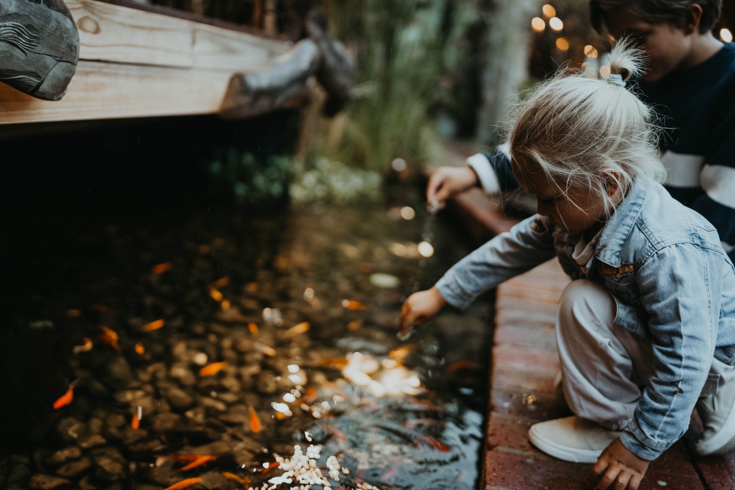 Connection to Nature