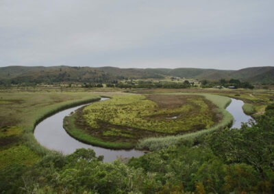 What Makes the Bitou River Unique?