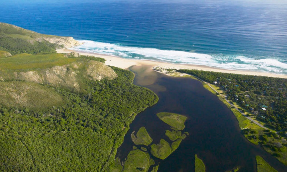 Some of the other favourite areas and Habitats to go birding in Plettenberg Bay
