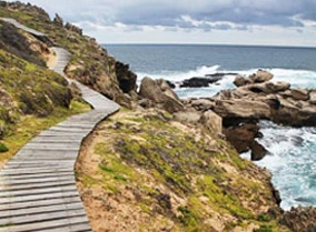 One of the best big five safari reserves near the ocean