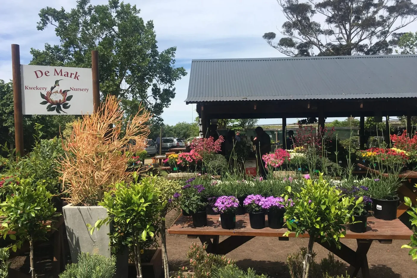 TOP 5 MARKETS IN PLETTENBERG BAY