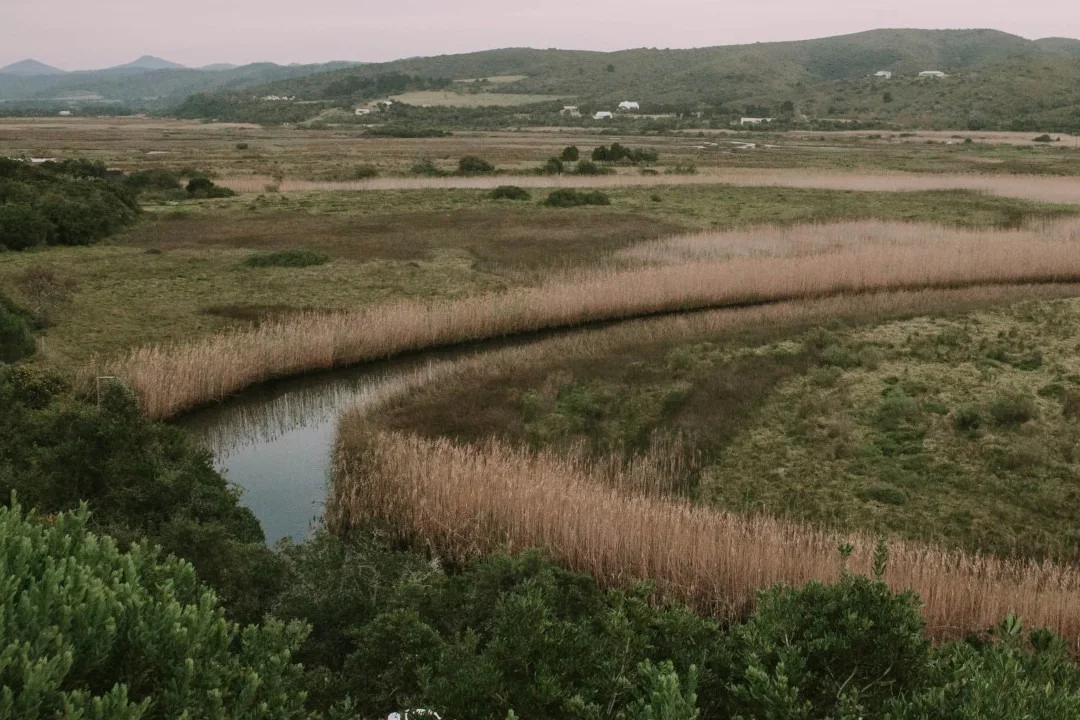 THE BITOU RIVER