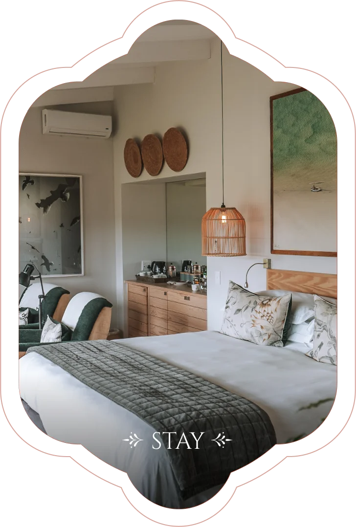 Stay